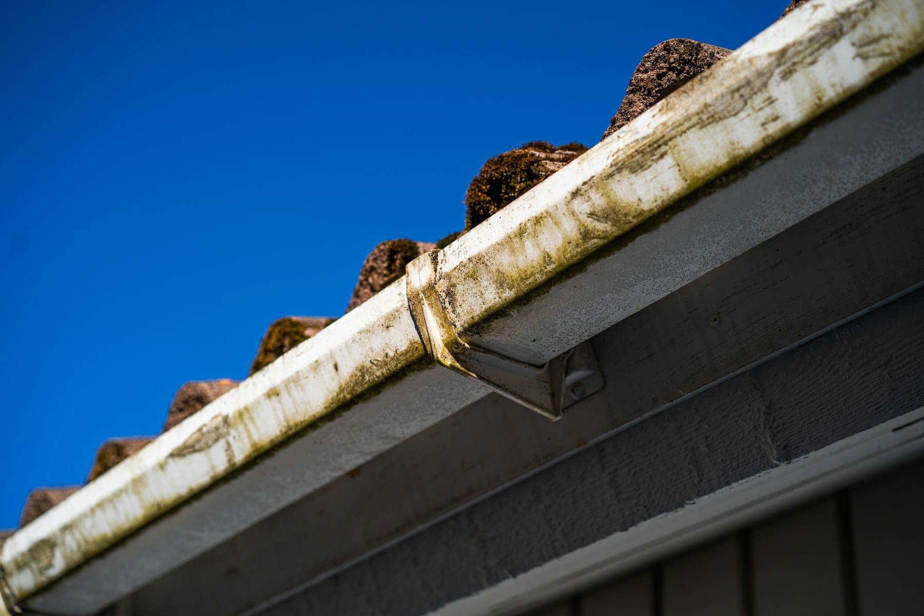 White uPVC fascia and a gutter full of moss beneath a tiled roof